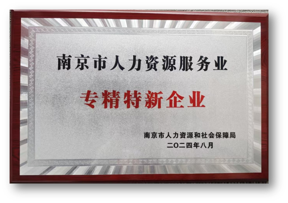 三项大奖！壹定发官网集团南京公司获评南京市人力资源服务骨干企业、专精特新企业双标杆